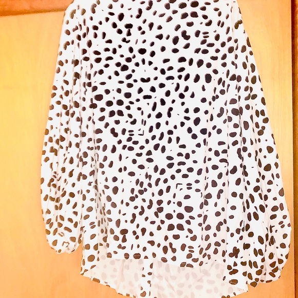 Leopard print in white and black - Picture 1 of 2